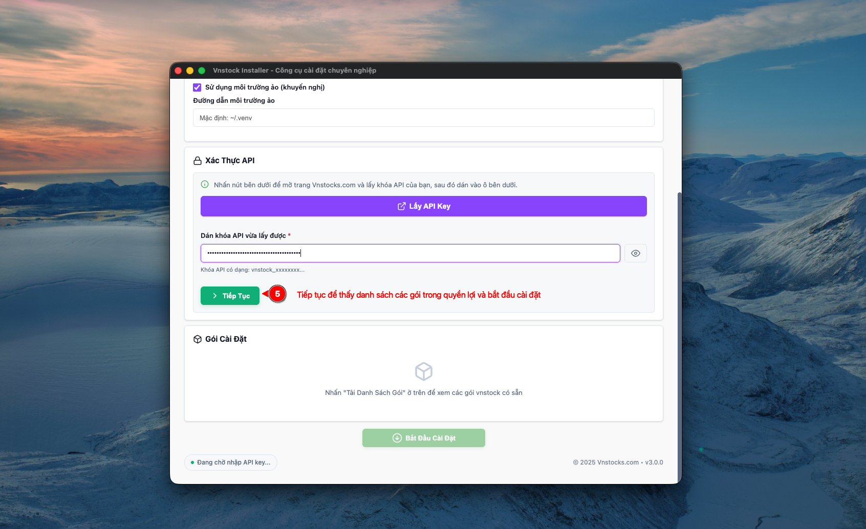 S3: Paste API key vào trình cài